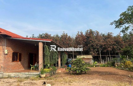Kinh doanh thua lỗ bán nhanh nhà 2290m2 đất sổ riêng gần ngay khu công nghiệp đang hoạt động. Giá 380tr
